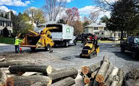 Reliable Hurley, WI Tree Removal Solutions